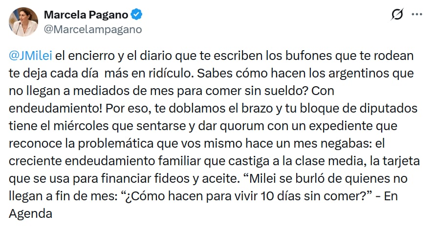 El mensaje de la diputada Marcela Pagano