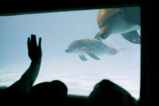 Lugares para disfrutar con los chicos sin pasar por Disney