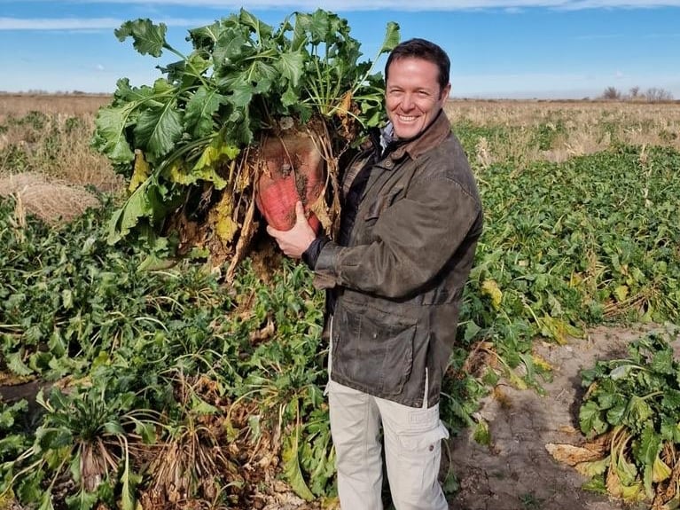 Sorpresa: el boom de la remolacha forrajera que rompe todos los moldes para "fabricar" carne