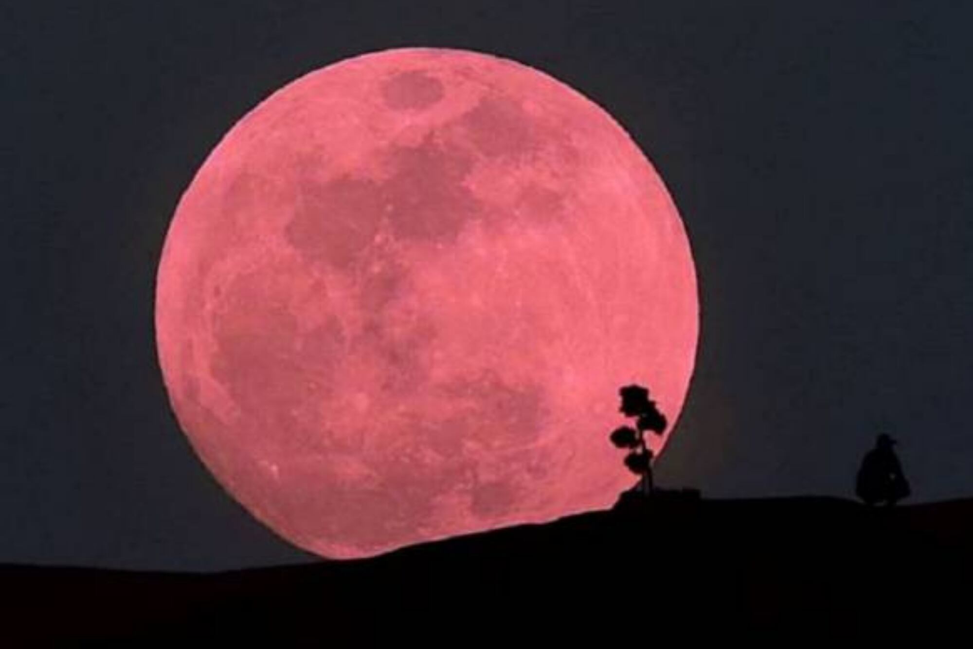 Luna Rosa de abril 2024: a qué hora será su punto máximo en la Argentina hoy