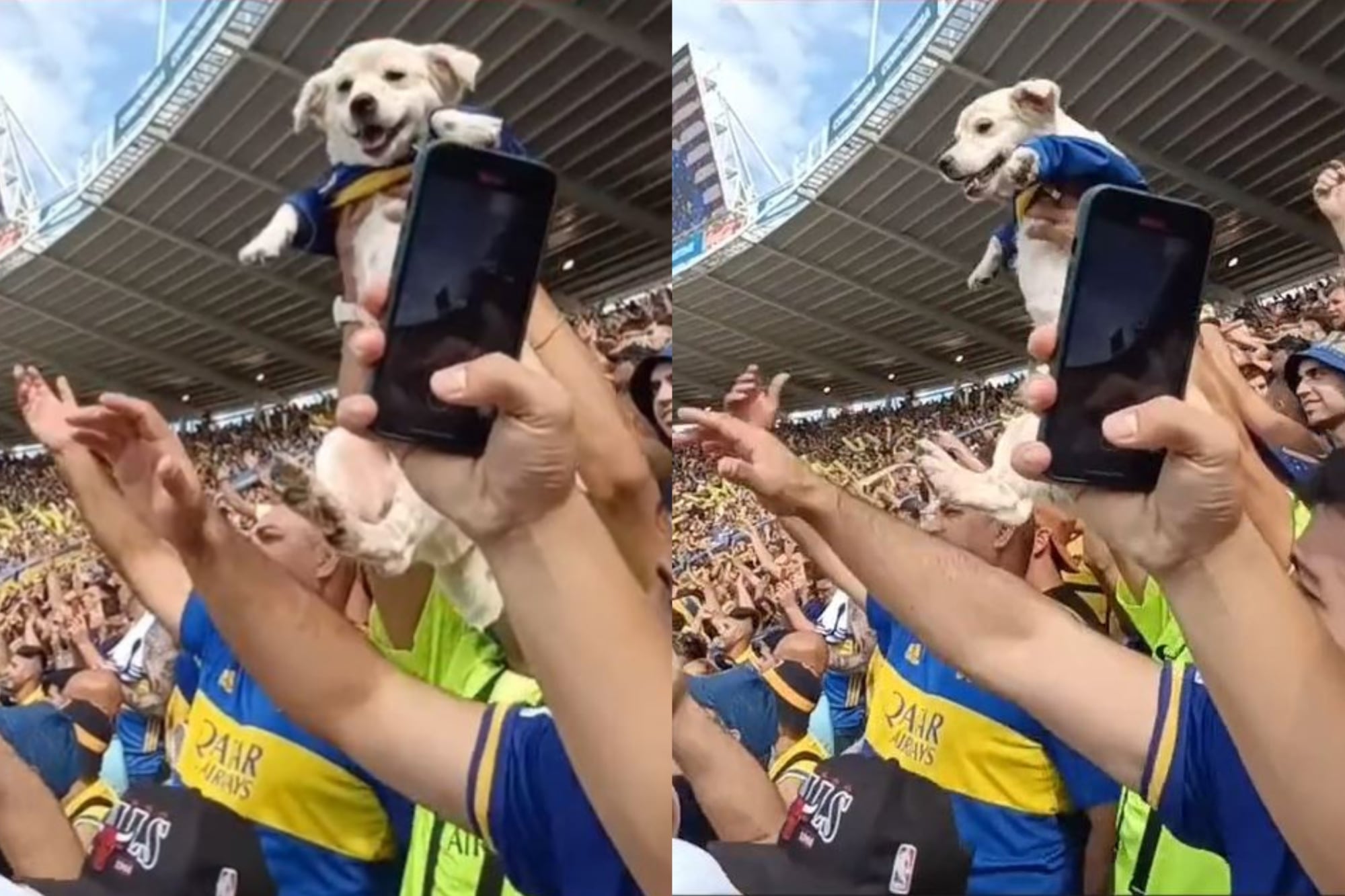 Las imágenes del “perro xeneize” que se volvió viral por alentar a Boca en la cancha