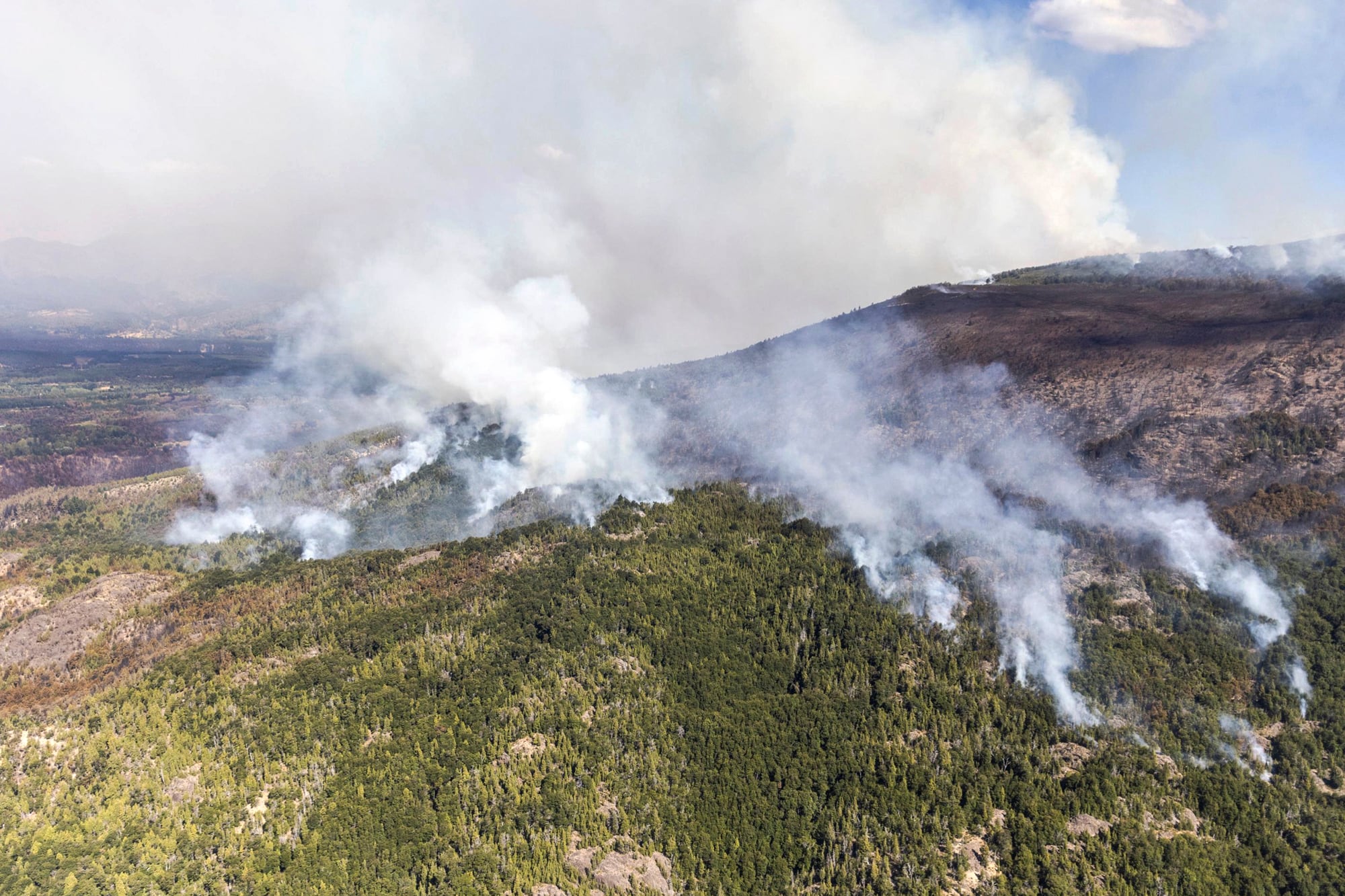 Los incendios en la zona de Mallín Ahogado hacia los refugios del Valle Azul fueron devastadores