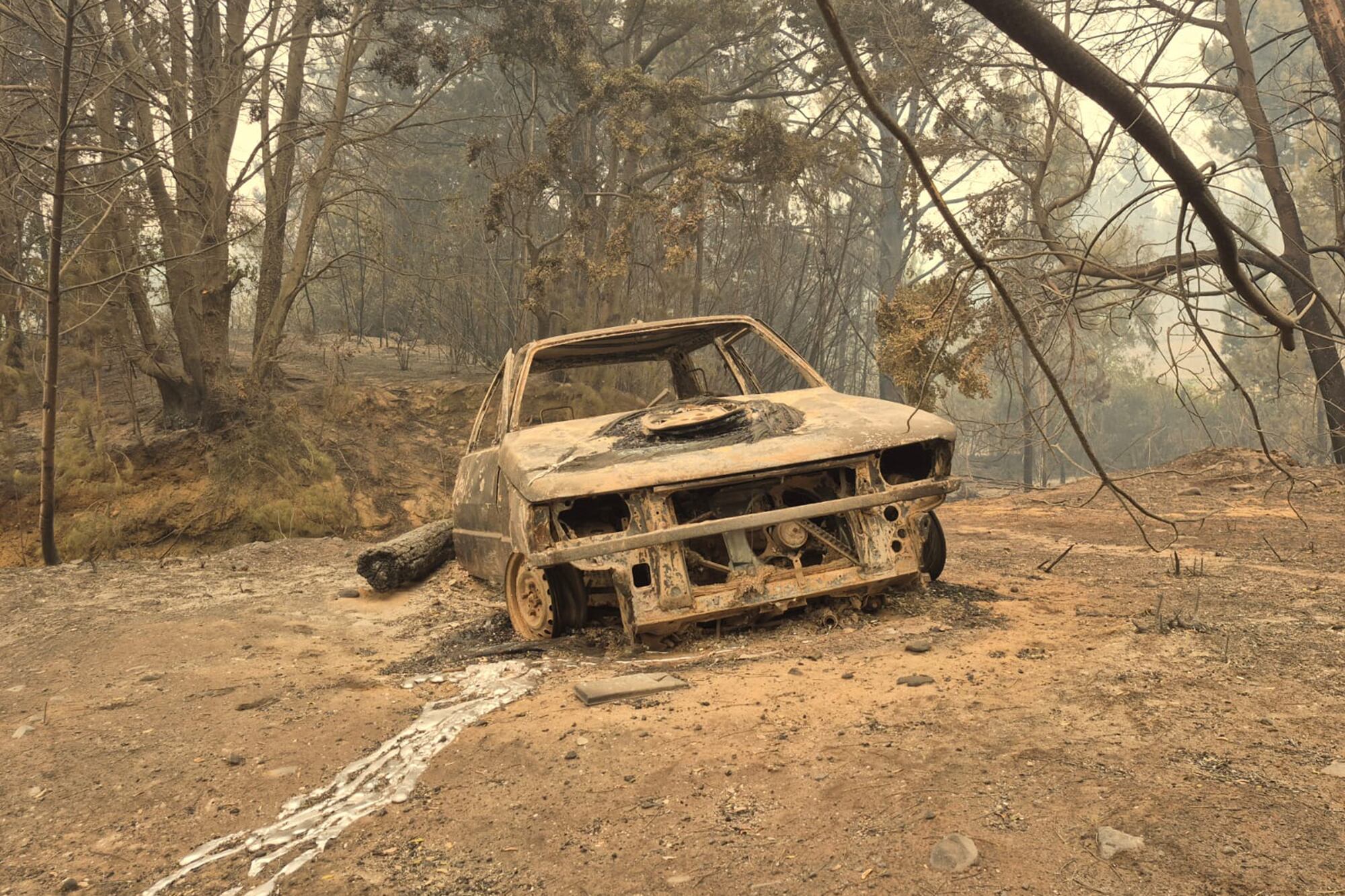 Incendios en Chubut: afirman que el origen es intencional y ofrecen $50.000.000 de recompensa para dar con los responsables 8 El fueg alcanzó viviendas y vehículos