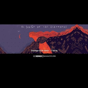 CUERPO ADENTRO - El Sueño de los Elefantes