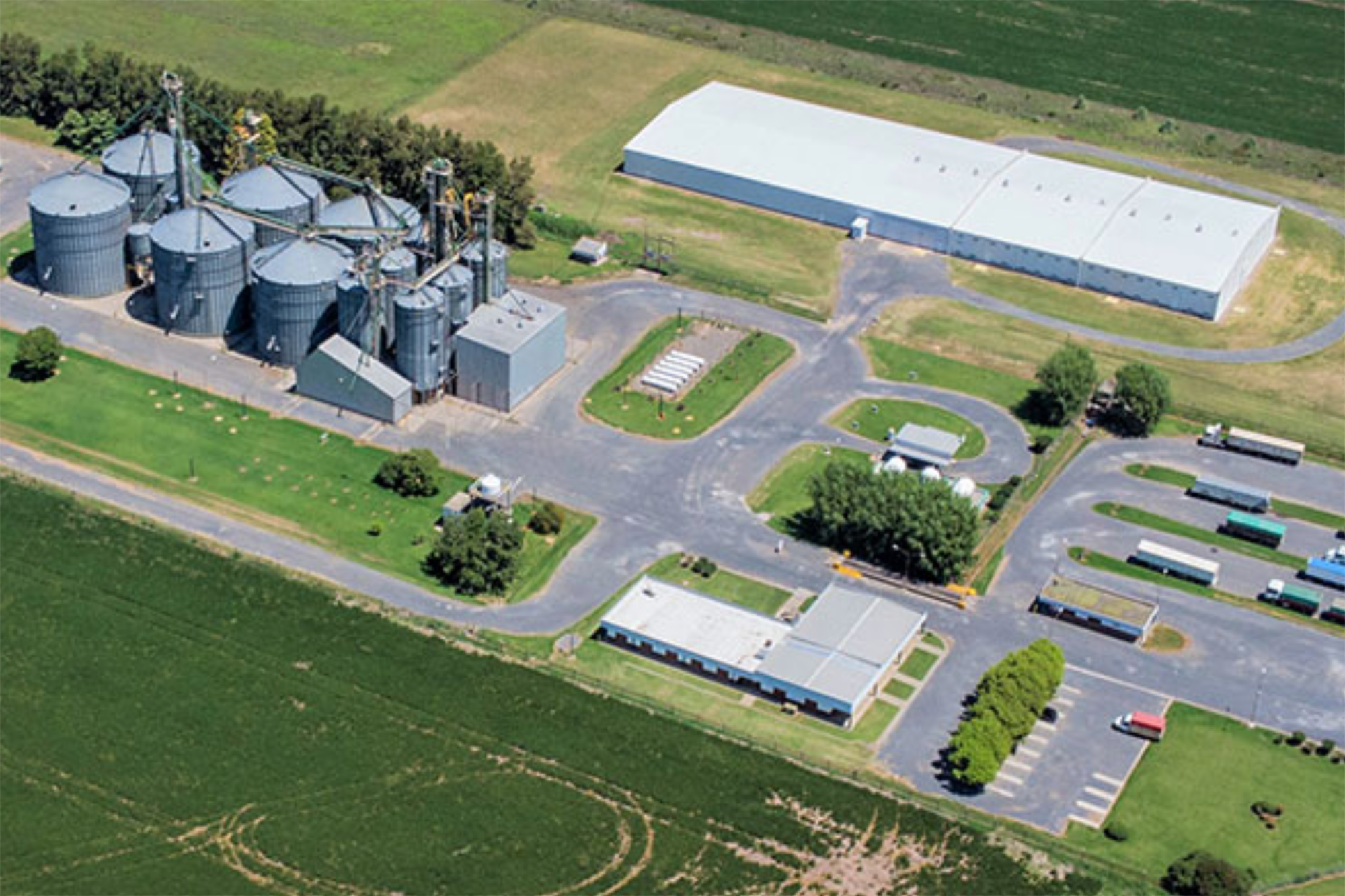 “Es del palo”: le buscan un socio a la empresa del agro que en el mercado nadie quiere que caiga
