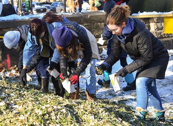 Vecinos pueden ayudar a reciclar los árboles de Navidad en el Mulchfest (NYC Parks)