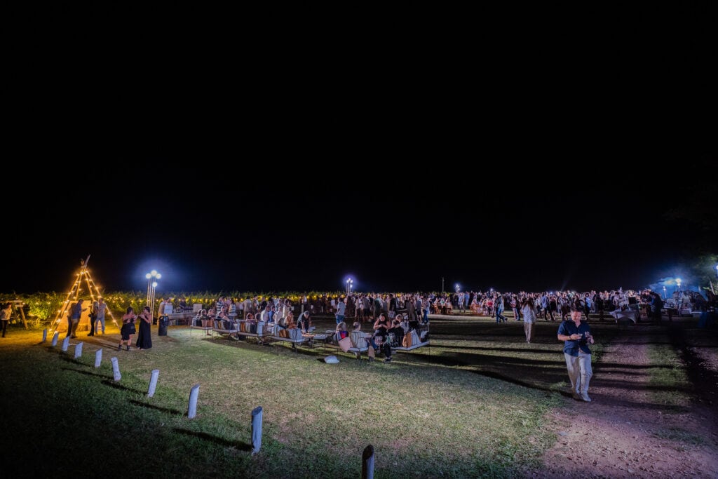 Postal nocturna del Encuentro Federal de Vinos 2025