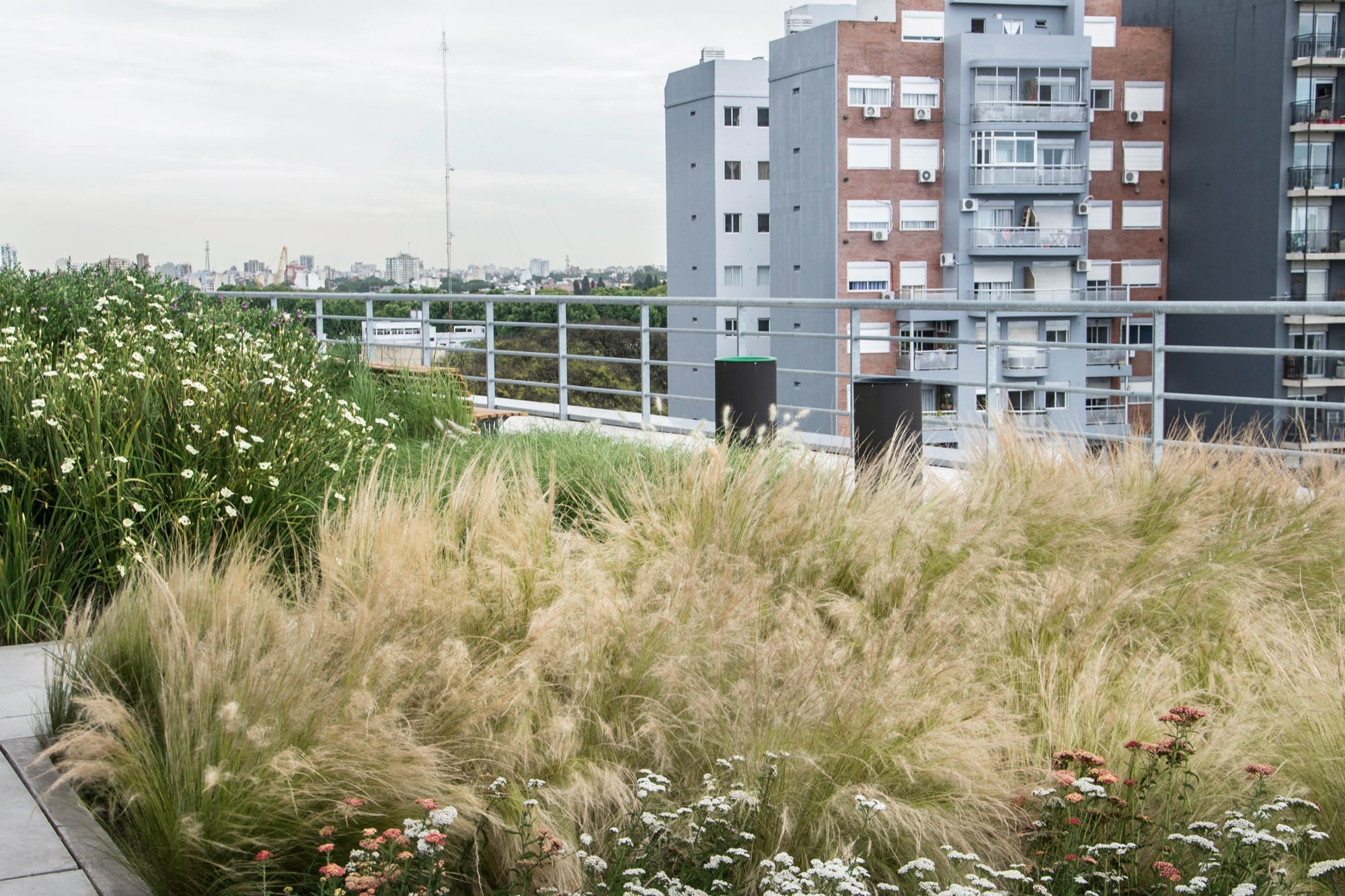 Dos grandes canteros con Dietes bicolor y gramíneas separan la baranda del lugar de uso