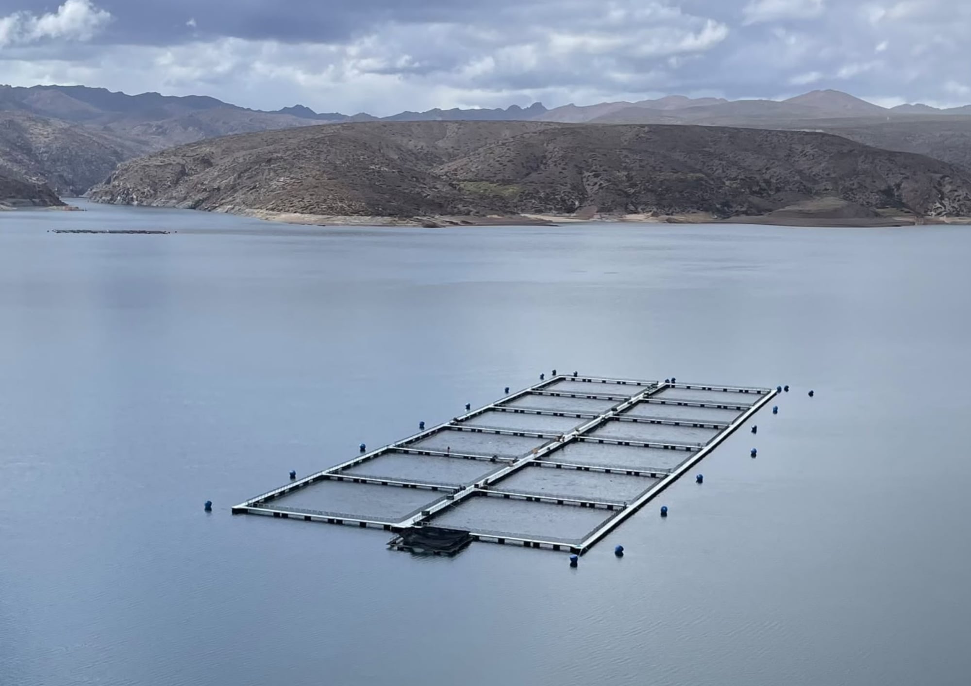 “El país posee condiciones extraordinarias para desarrollar acuicultura a gran escala en su plataforma marina