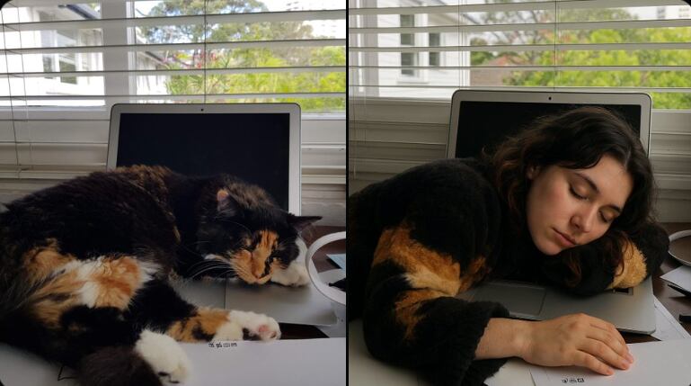 Crédito: Mats Stafseng Einarsen a través de X.