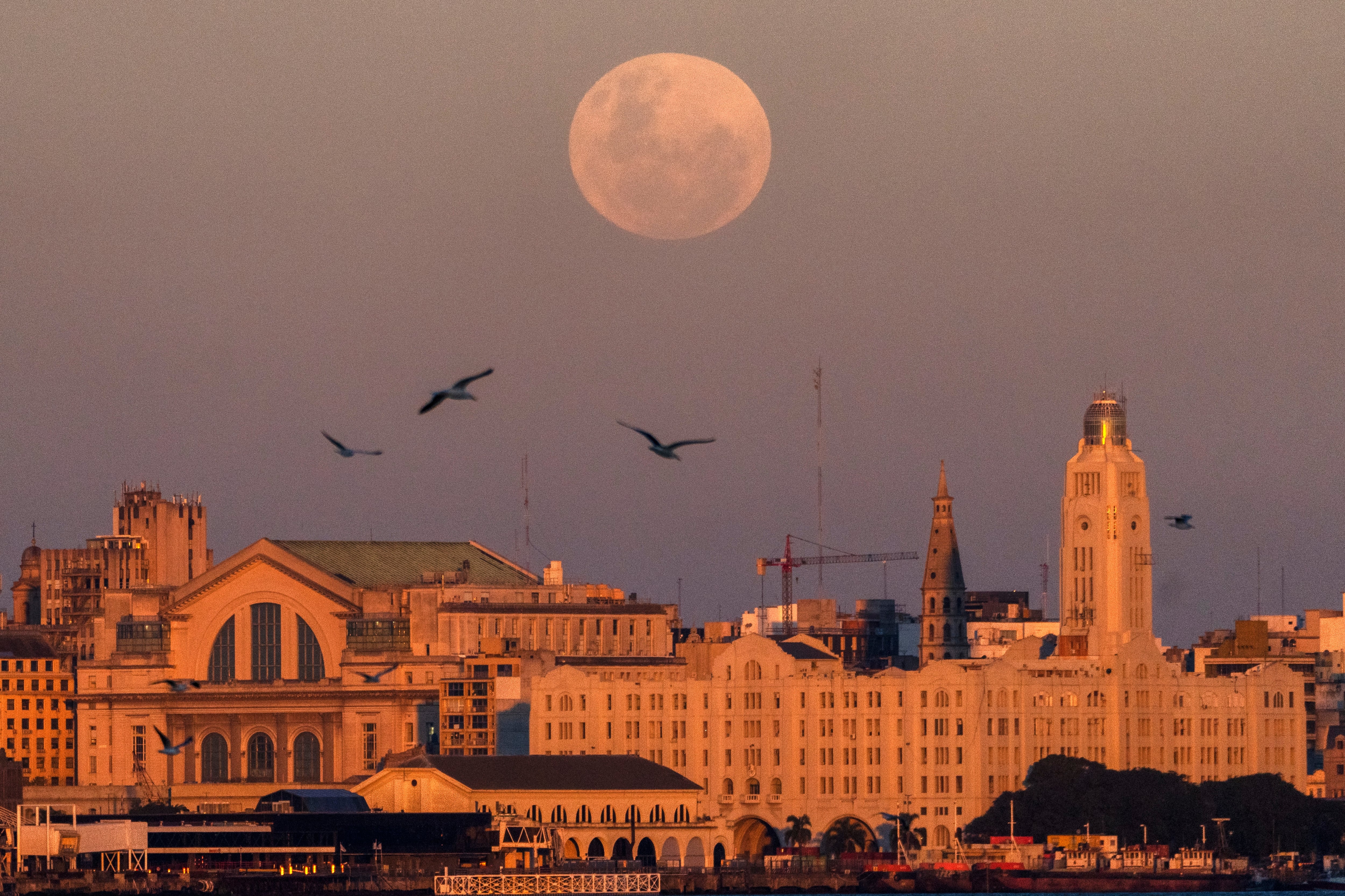 Suben los homicidios en Uruguay y alcanzan su mayor nivel semestral en ocho años