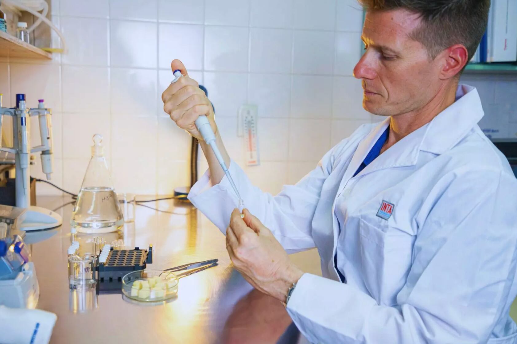 Rizzo señaló que “unos 20 gramos snack de aproximadamente 12 chips, concentran el valor nutricional de un vaso de leche”.