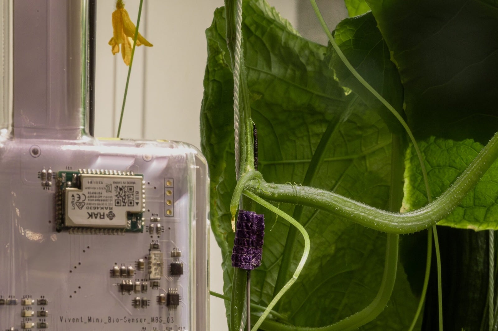 Cada equipo cuenta con dos electrodos y un sensor que mide las condiciones climáticas del lugar