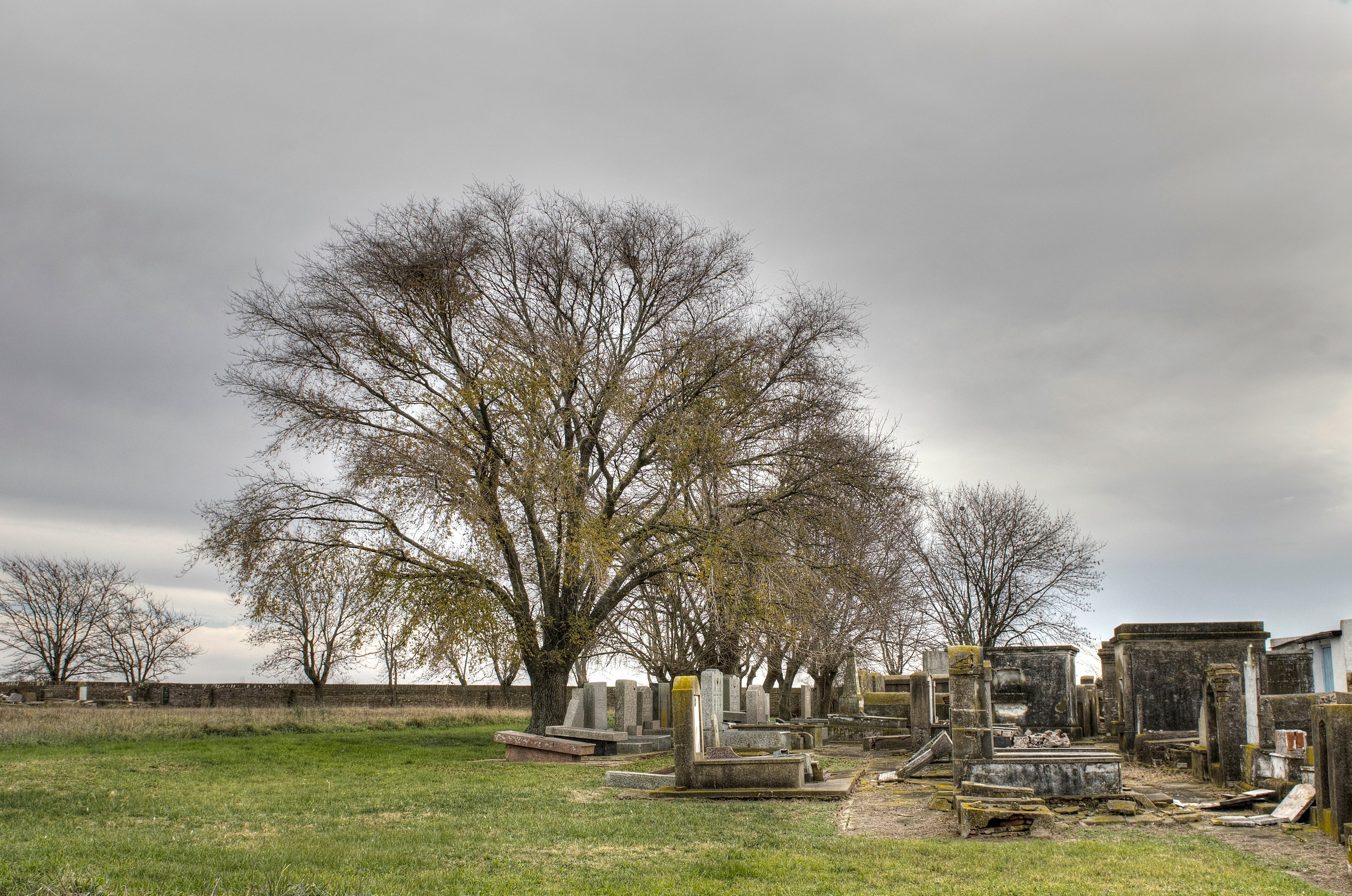 Uno de los pueblos pioneros en la historia de la colonización judía en la Argentina 14 Cementerio abandonado en Colonia Mauricio