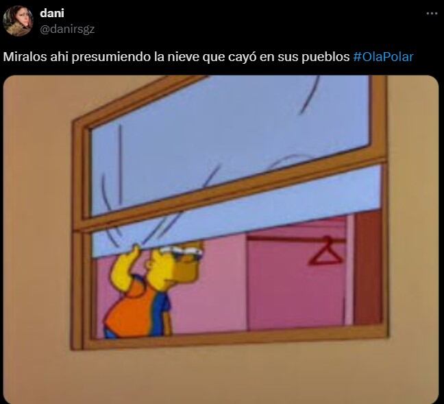 Los memes referidos a la llegada de la ola polar