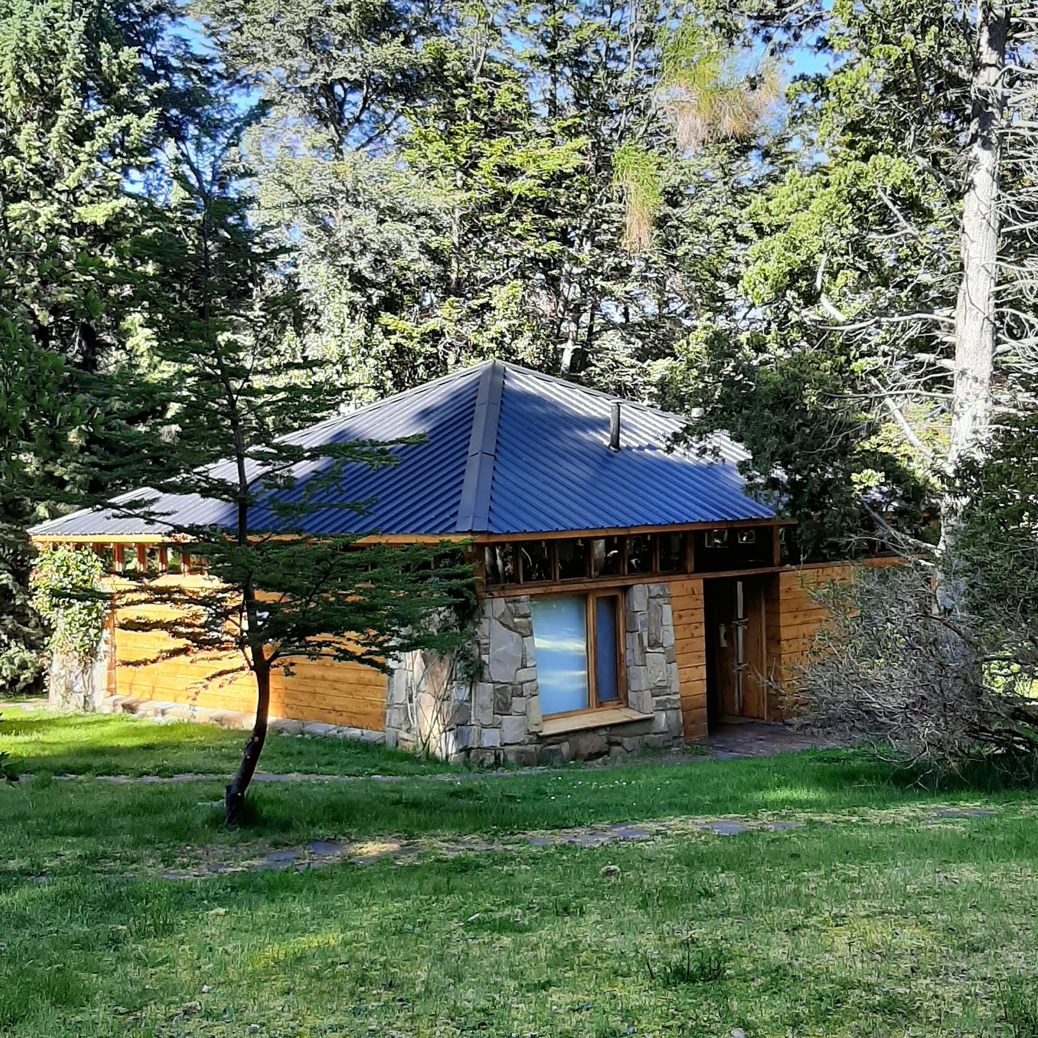 Bosque patagónico y prácticamente nada de señal.