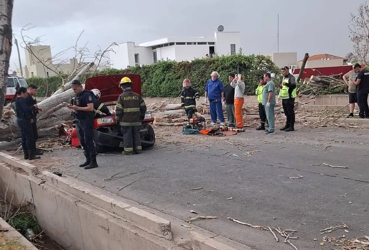 Un árbol cayó en Mendoza y murió una mujer.