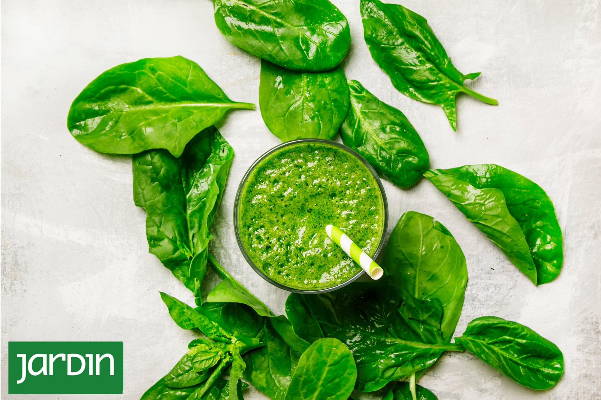 La planta que favorece la concentración, levanta la energía y crece sin esfuerzo en el jardín