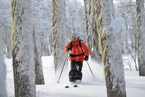 Chapelco: vacaciones ideales en la montaña y el bosque con servicios exclusivos