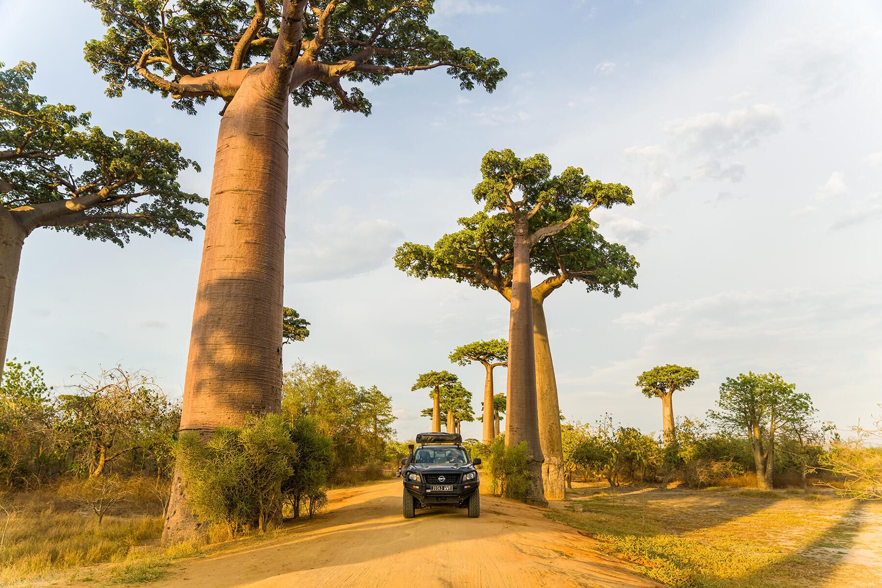Madagascar, un destino ávido de turistas