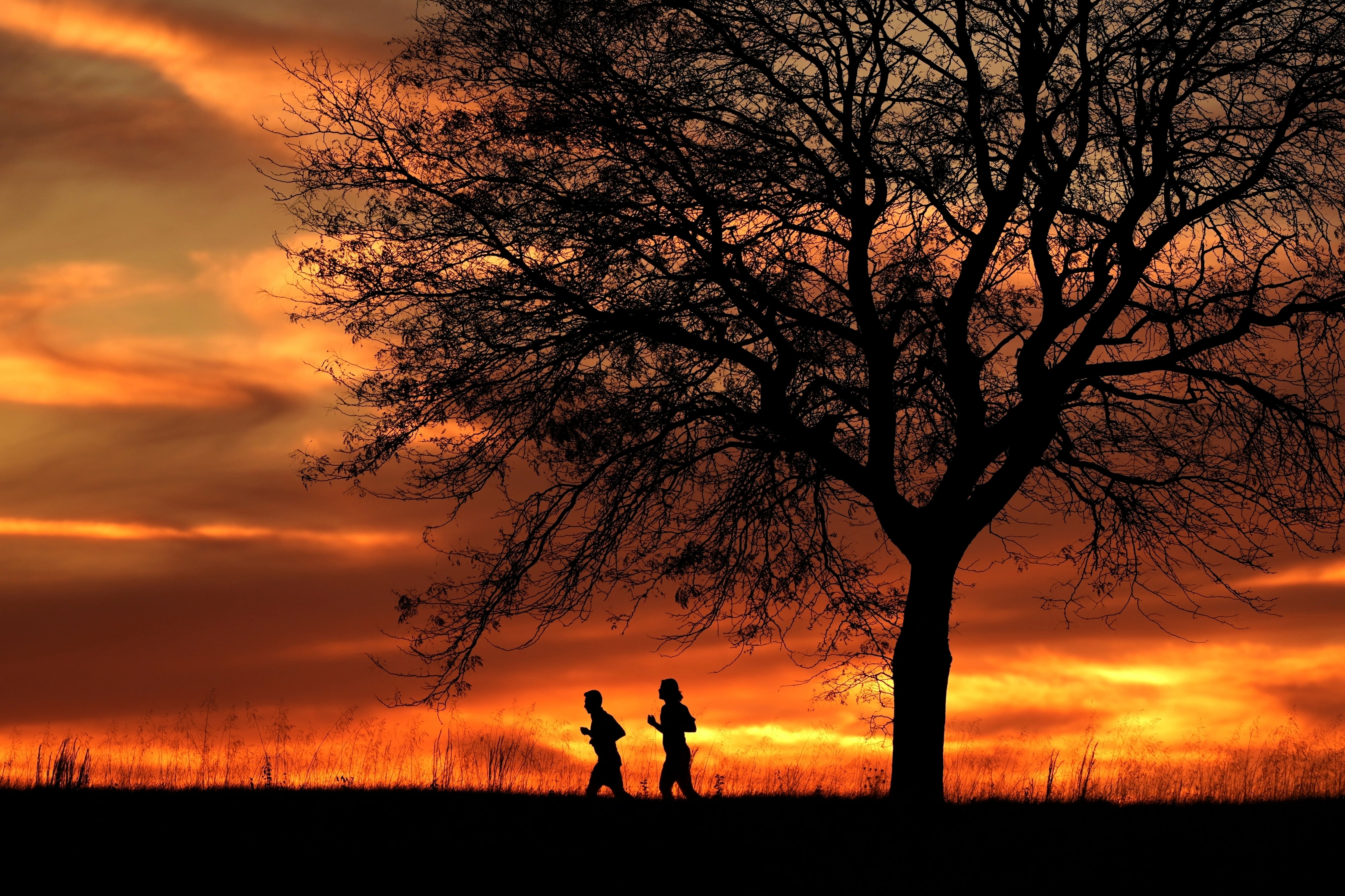 El consumo desmedido de electricidad transformará el planeta en una bola de fuego incandescente
(AP Foto/Charlie Riedel, Archivo)