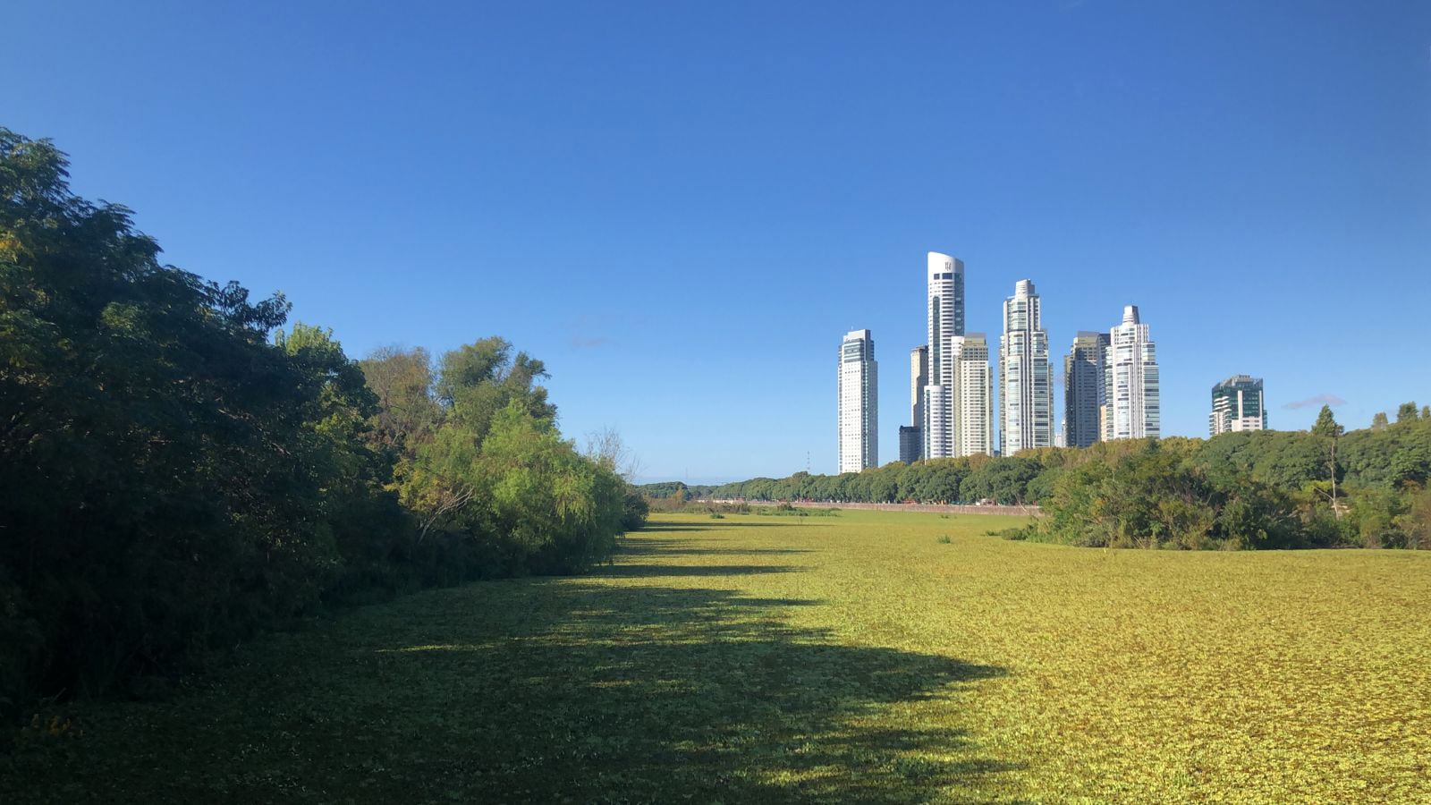 Los 40 años de la Reserva Costanera Sur
