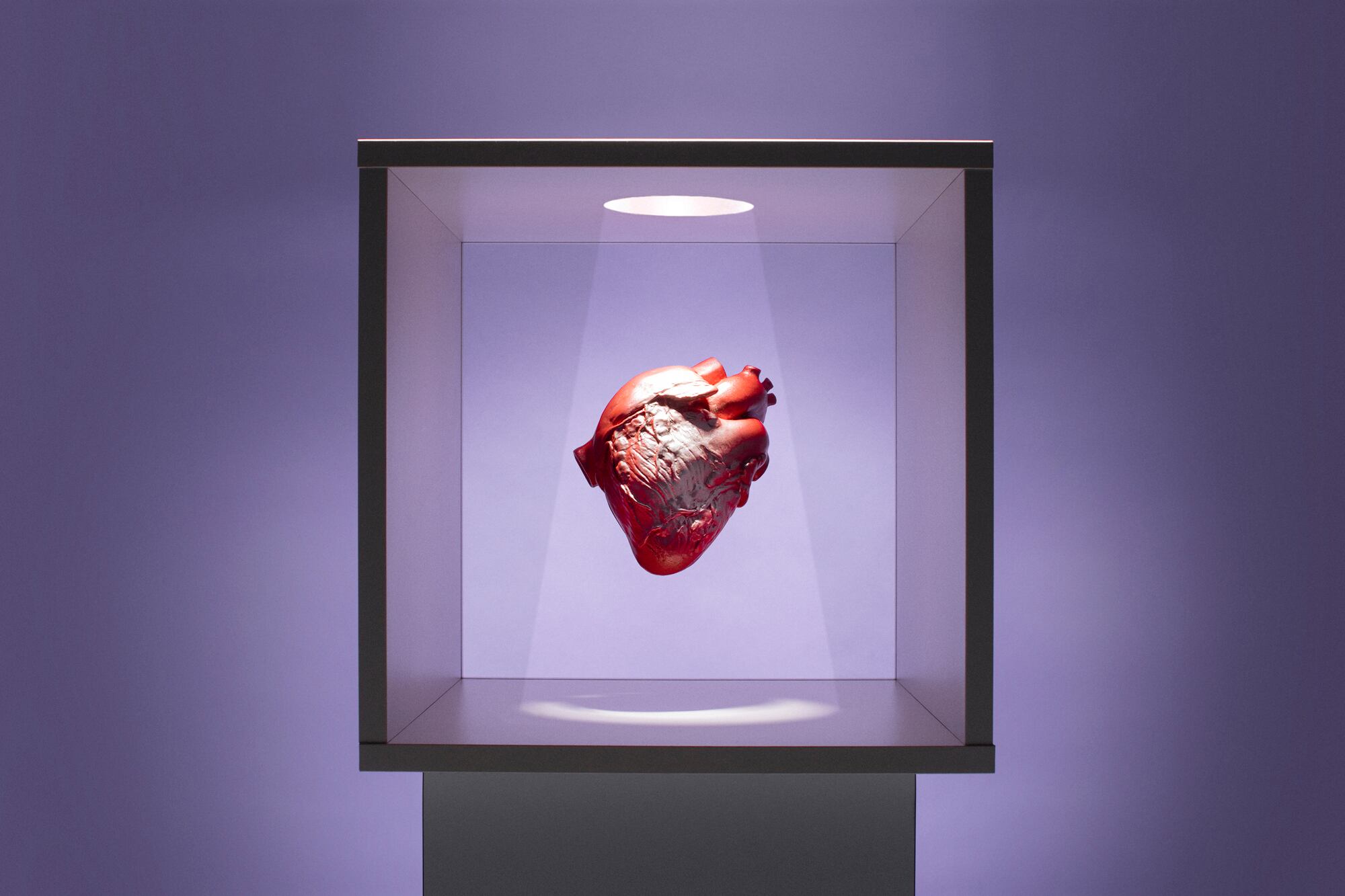 Corazón: un checklist indispensable para cuidar la salud cardíaca