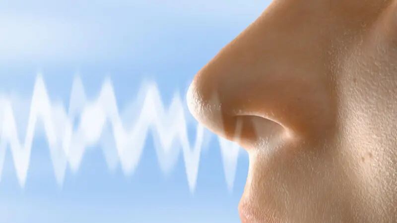 El ciclo alterno es automático y está regulado inconscientemente por el hipotálamo