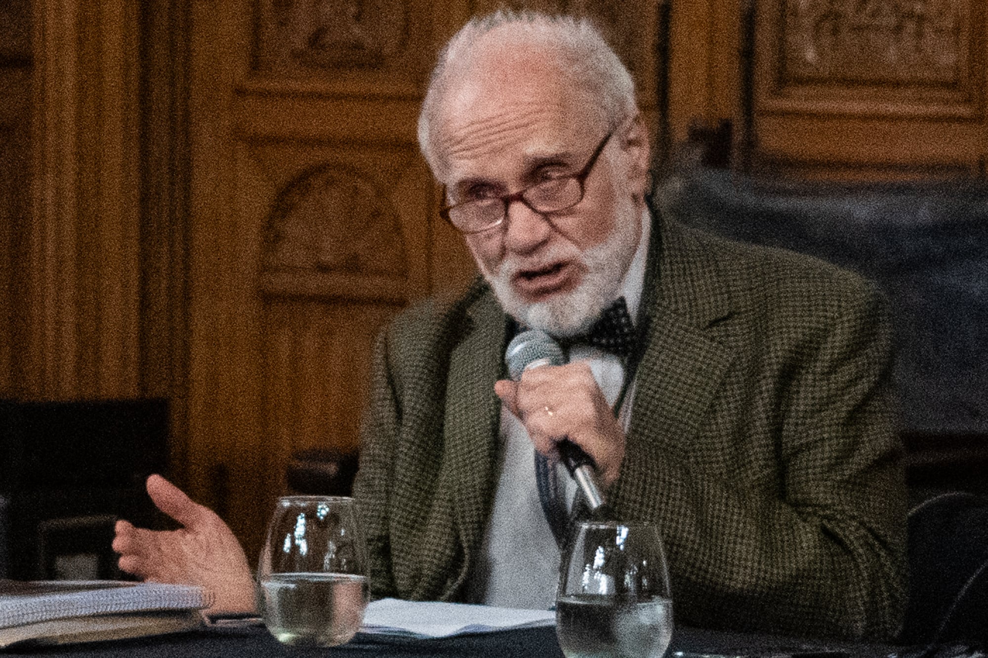 José Emilio Burucúa, en el 90° aniversario de la Academia de Bellas Artes: “Somos como linces, de vista muy aguda”