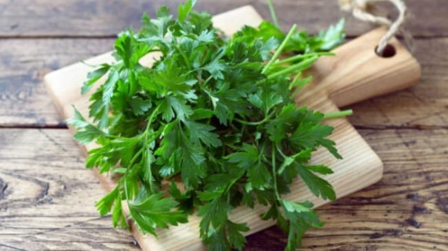 El perejil destaca por su riqueza en flavonoides, cumarinas y vitamina C, ingredientes activos que aportan beneficios para la salud