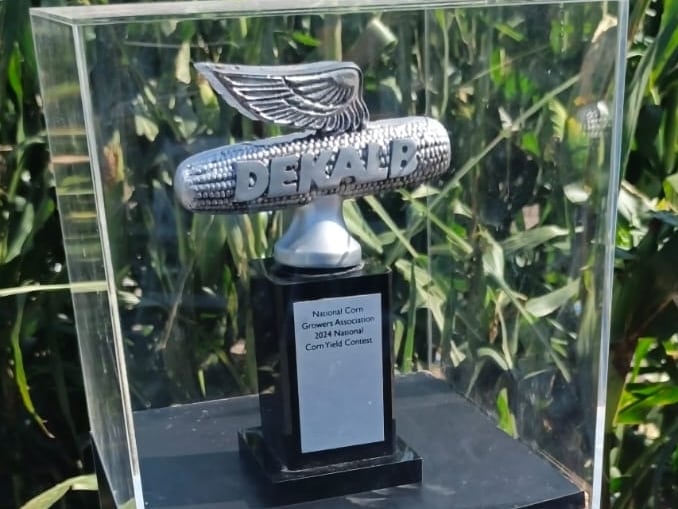 El DKC68-35 ganó en muchas competencias de rindes den EE.UU. y otros países