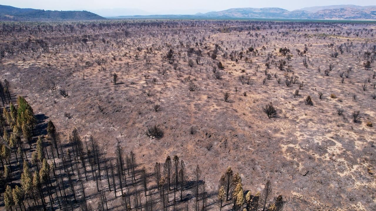 Muchas de las zonas quemadas corresponden a veranadas, donde las vacas se alimentan en el verano.