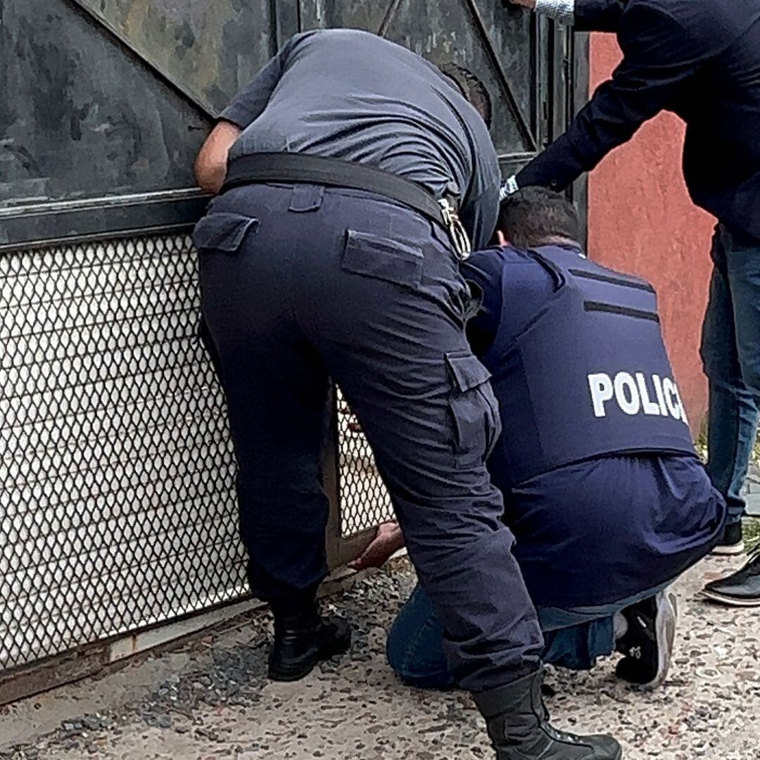 Bajo la supervisión de la UFI N° 2 de Berazategui, en turno con el fiscal Cristian Granados, personal policial junto a efectivos de la comisaría 1° de Berazategui y agentes de Bromatología y Zoonosis de la comuna, participaron del allanamiento de una vivienda en la calle 160 entre 29 y 30 de Villa Mitre.