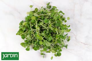 Es una verdura poco consumida en nuestro país, pero muy nutritiva y fácil de tener en maceta