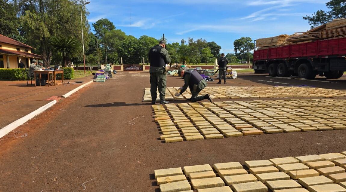 El conteo de la marihuana secuestrada en Alto Uruguay