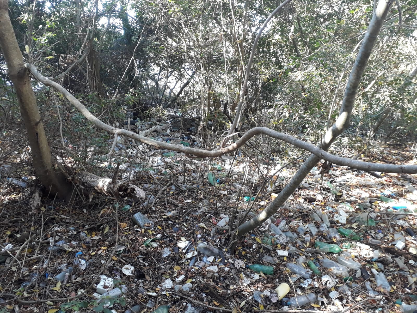 Basura en las inmediaciones del arroyo El Gato