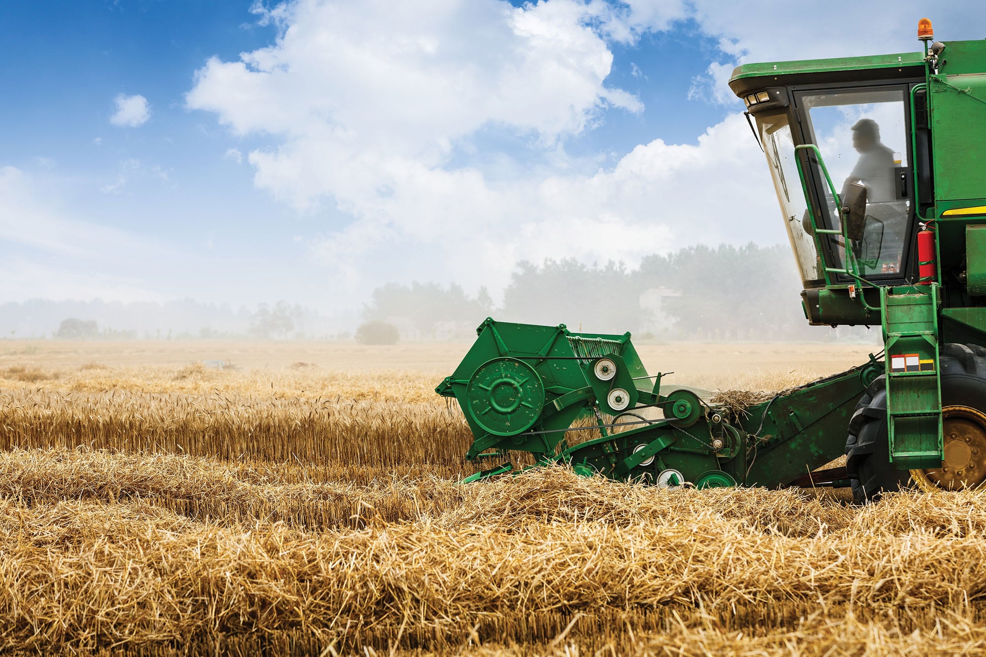 TRIGO AL LÍMITE: Márgenes Negativos Amenazan la Campaña 2026