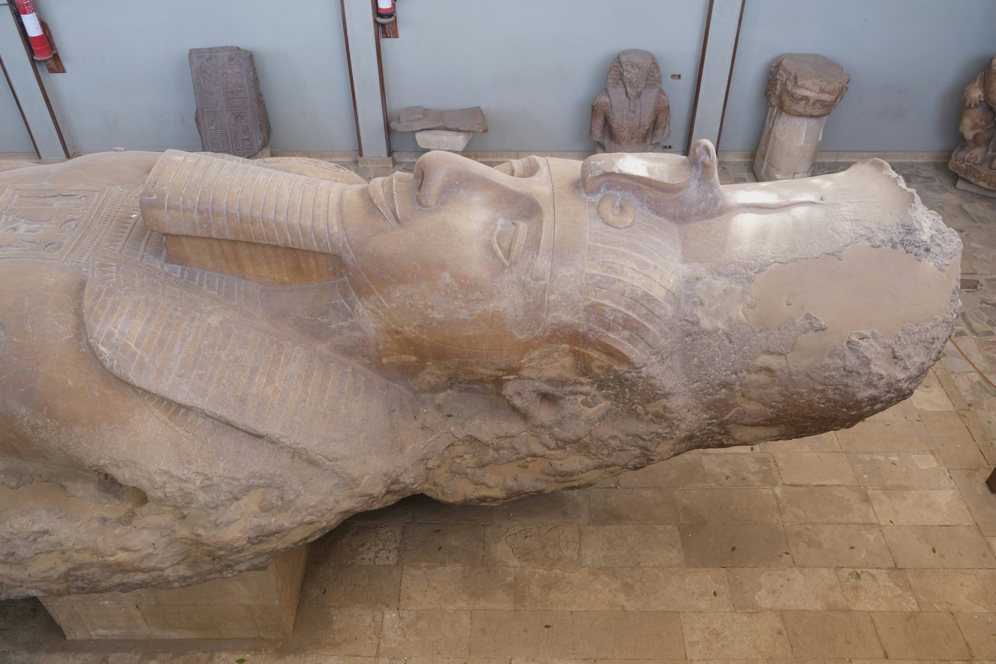 La encontraron boca abajo y nadie la estaba buscando: así apareció la mitad perdida de Ramsés II