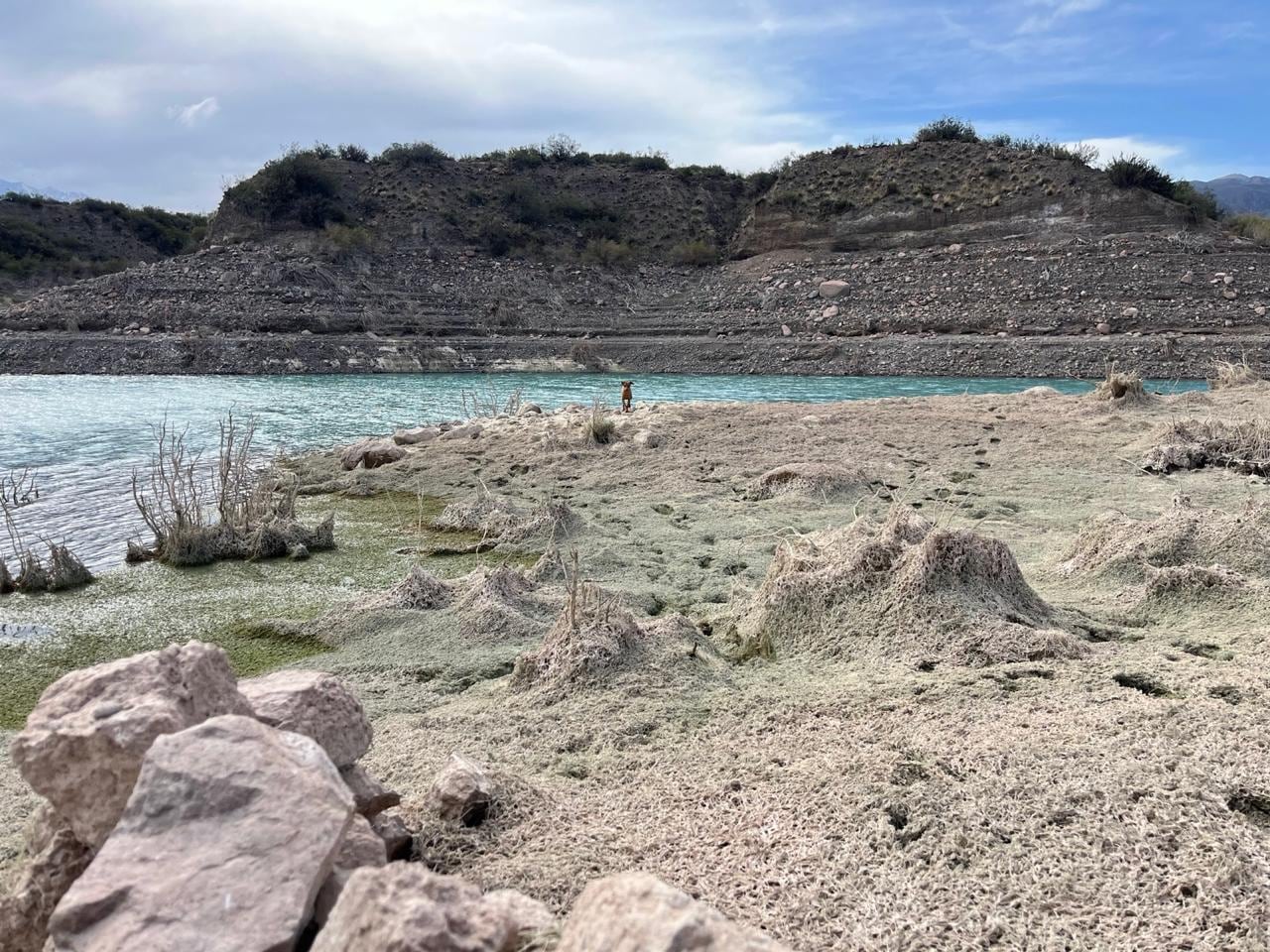 En Mendoza, los pronósticos climáticos son poco alentadores para las próximas décadas