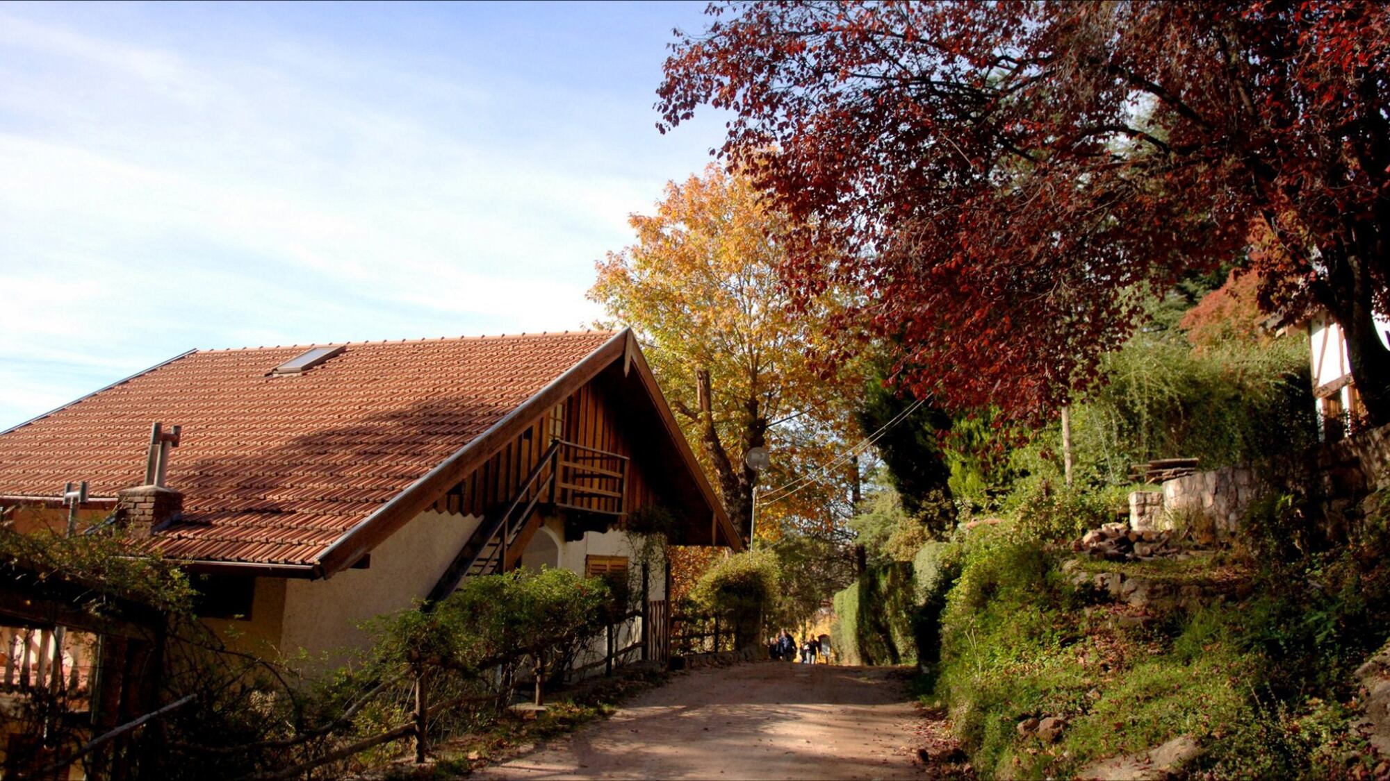 La Cumbrecita es un destino ideal para descansar, caminar por el bosque, hacer cabalgatas, visitar cascadas y disfrutar de la paz del lugar, destacó la inteligencia artificial