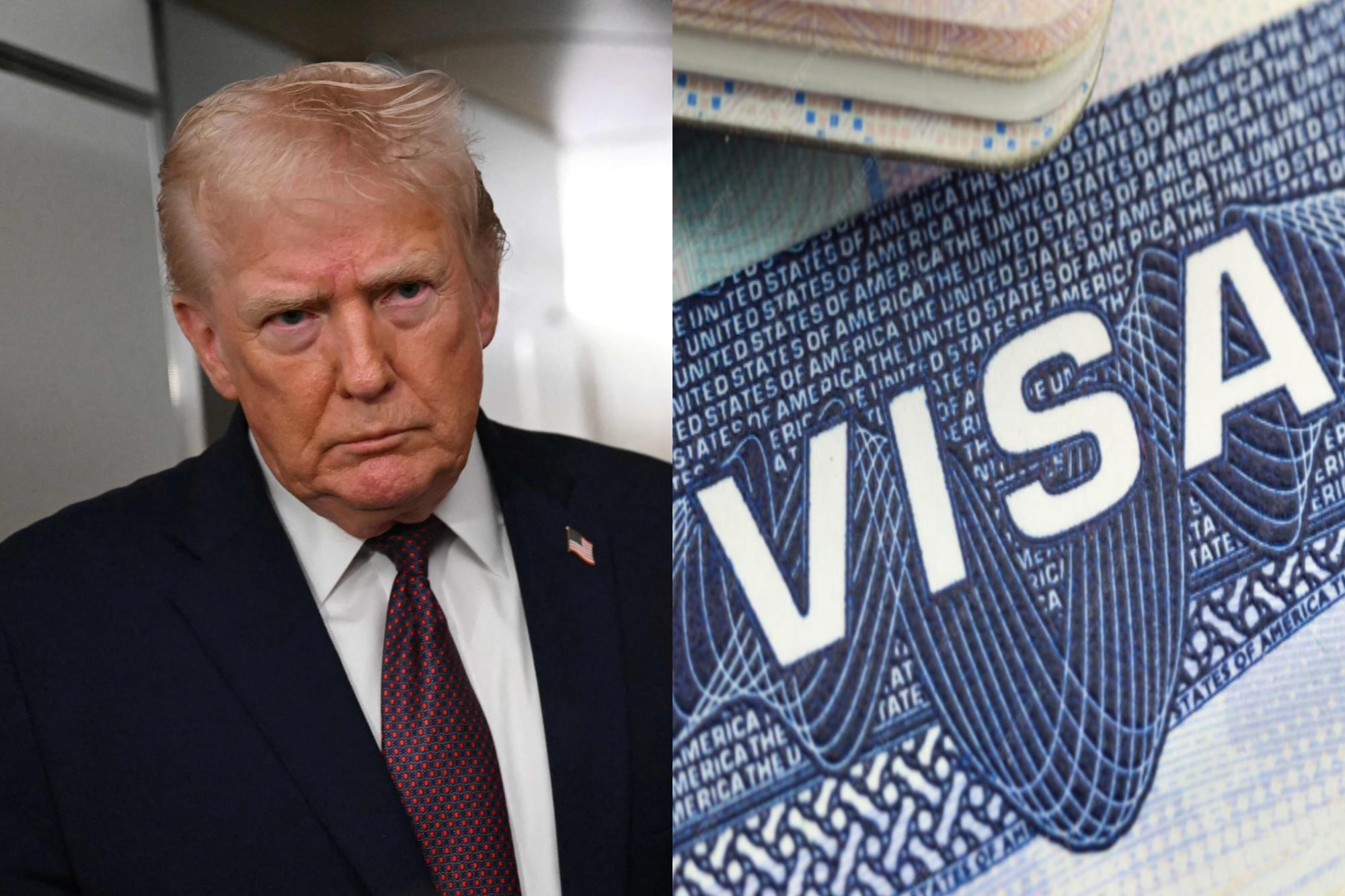 Listado: a qué países alcanza la medida del congelamiento de visas anunciado por Trump