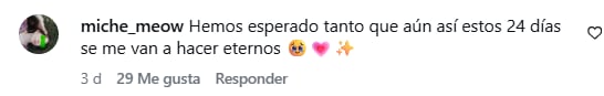 Algunos de los comentarios que se viralizaron tras la noticia (Foto: Captura Instagram/@disneyplusla)