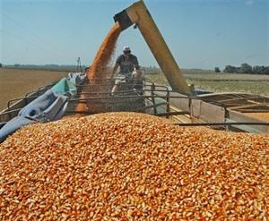 Baja de retenciones al campo: un gesto en la senda correcta