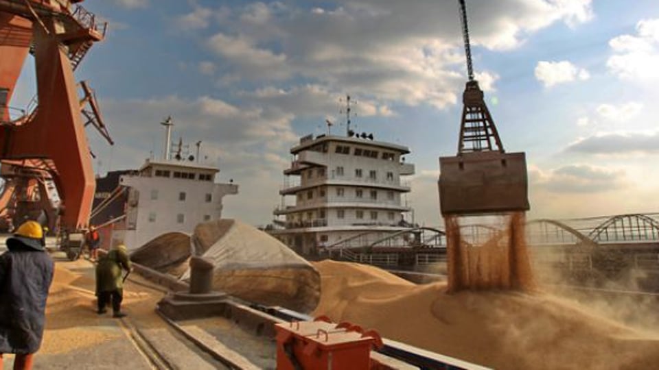 COFCO redujo emisiones en las cadenas de soja y maíz y superó los US$1000 millones en financiamiento ligado a metas climáticas