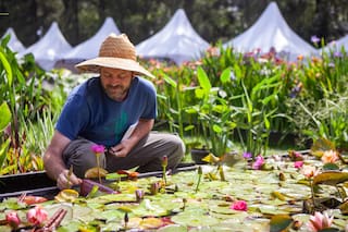 Arrancó la nueva edición de Jardín Fest en Pilar y fue todo un éxito