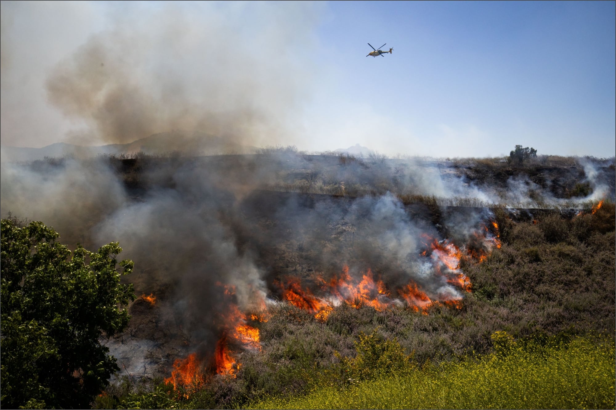 Oficial: la NASA revela cómo los incendios forestales en California afectan la calidad del aire en EE.UU.