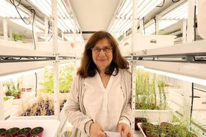 Raquel Chan: “En la ciencia argentina, la resistencia al mundo del agro es muy minoritaria”