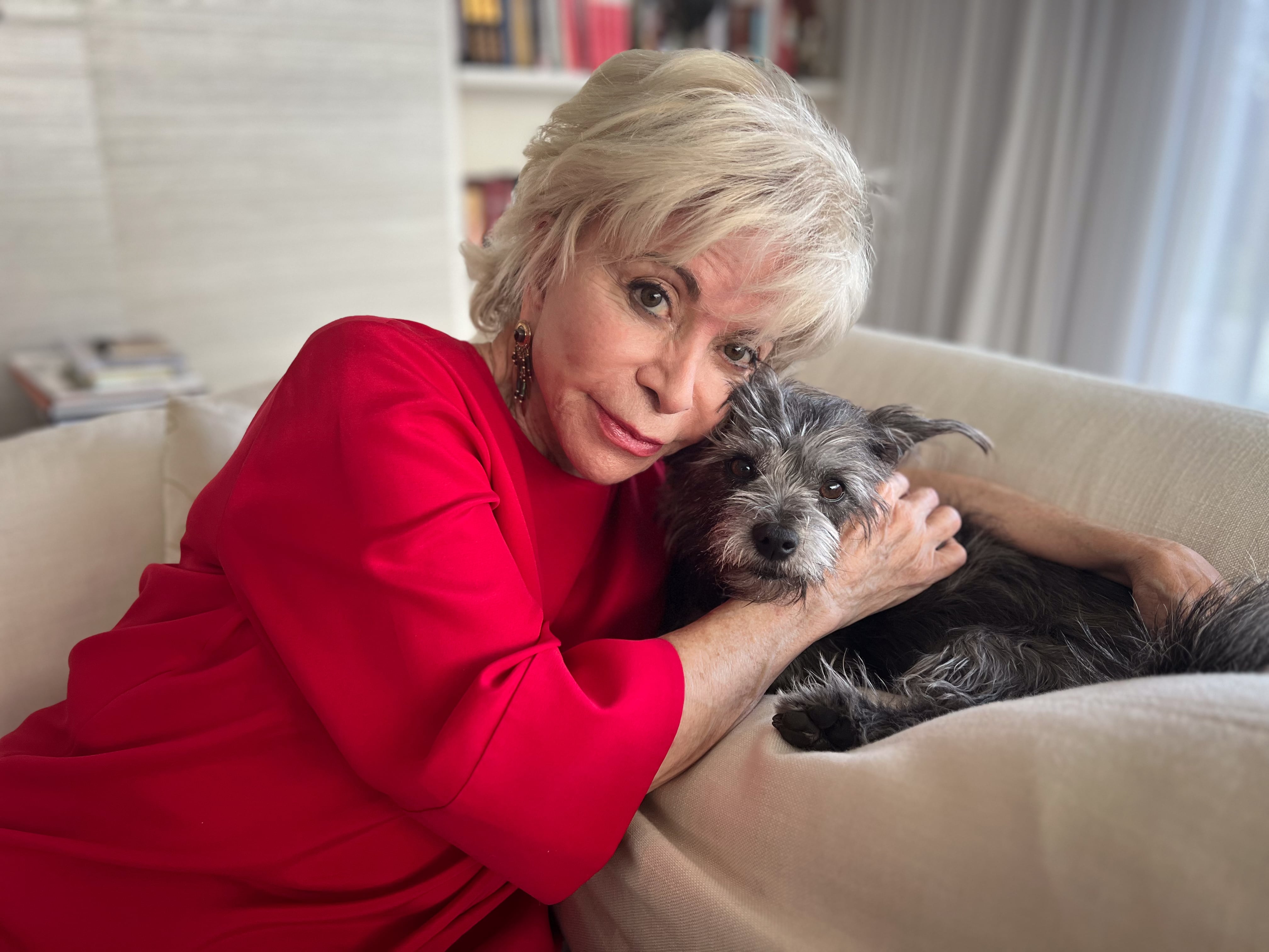 Escritores Revelan Por Qué Tener Un Perro Es El Mejor Consejo Para Escribir