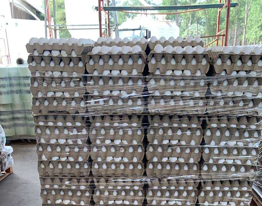 Uno de los cambios más relevantes impacta en la normativa que regula a los establecimientos productores de huevos fértiles o aves “Libres de Patógenos Específicos”, donde se elimina la obligación de presentar habilitación municipal