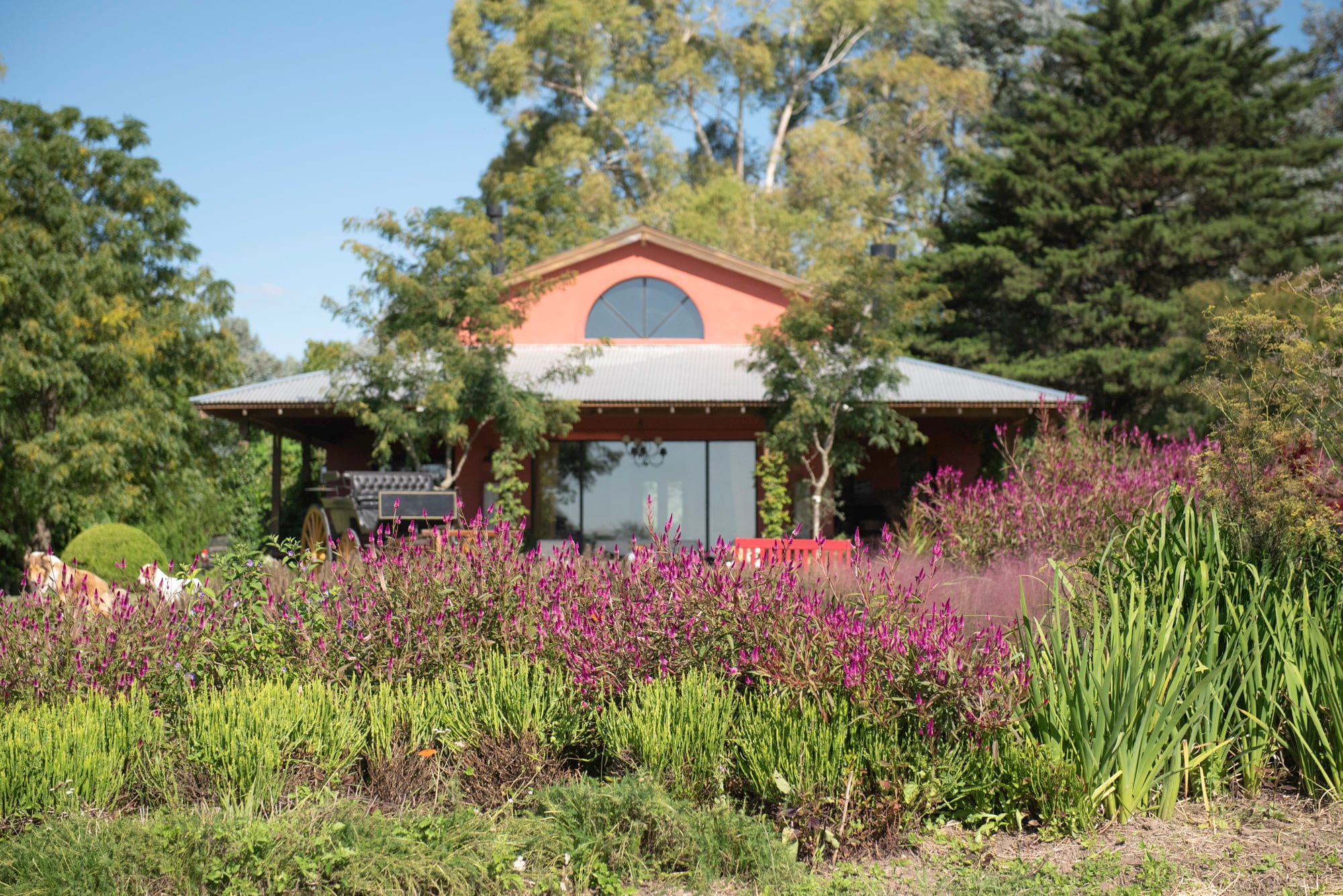 Plantas verticales que marcan el ritmo, volúmenes redondeados que equilibran, texturas sueltas que aportan movimiento